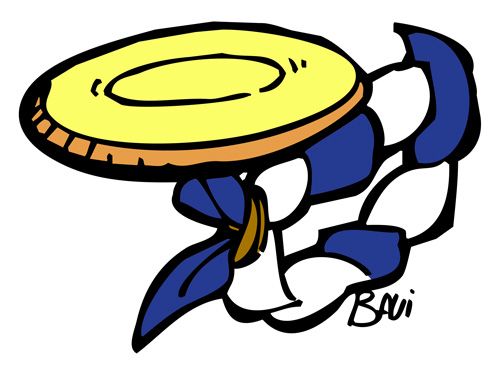 brevet-sport brevet-sport